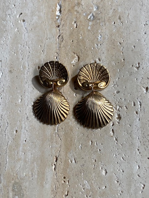 coquille earrings